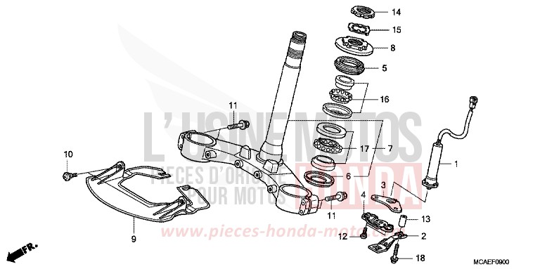 TIGE DE DIRECTION de Gold Wing PEARL FADELESS WHITE (NH341) 2013
